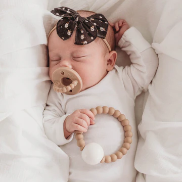 Teether Rattle