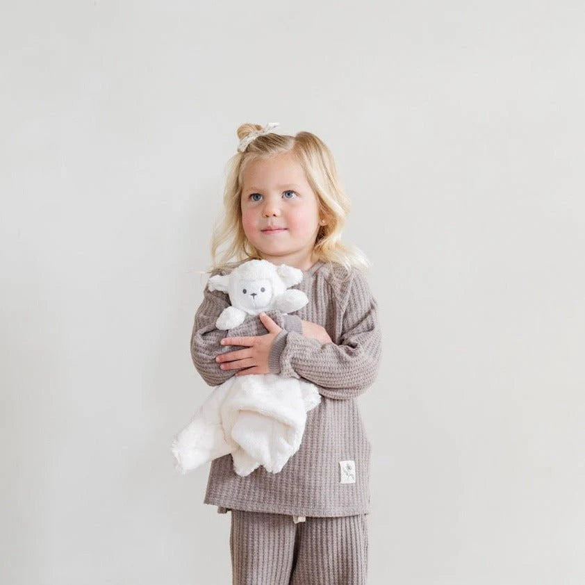 Stuffed Animal Lovey